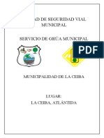 Servicio de Grua Municipal