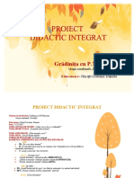 Proiect Inspectie Ic1