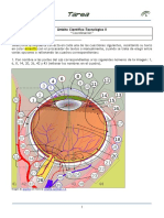 Tarea 2