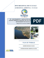 Plan de Trabajo - Pip Gestión Ambiental Arau