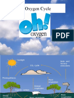 The Oxygen Cycle 2 PP