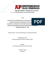 Tesis - Eficacia - Sistema Palato - Rugoscópico - Identificación de Persnoas - Cirujanos Dentistas - Arequipa - Leonidas Avendaño Ureta