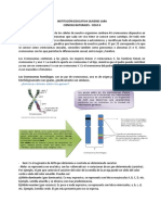 Guia Genetica Mendeliana