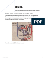 Cirrose Hepática: Sinais e Sintomas