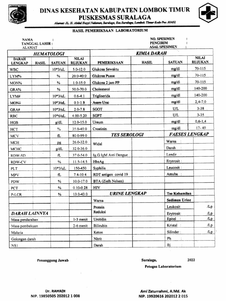 Hasil Pemeriksaan Lab PDF