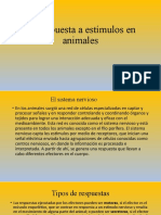 La Respuesta A Estímulos en Animales