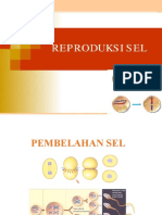 Pembelahan Sel