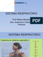 Sistema Respiratório