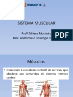 Sistema Muscular e Articular