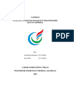 Laporan Praktikum Geologi Dasar Dan Stratigraphy 1