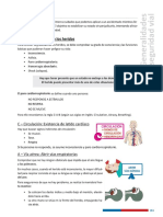 CAP 4 - LIBRO-DEL-NUEVO-CONDUCTOR-PROFESIONAL-F17-12-2019 - Opt