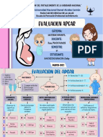 EVALUACION APGAR - SANCHEZ ENCARNACION, Chellsy