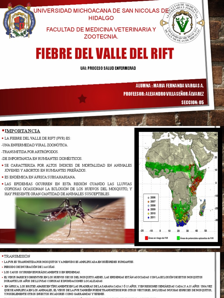 Fiebre Del Valle Del Rift | PDF | Virus | Especialidades Medicas