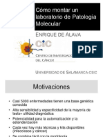 Como Montar Un Laboratorio de Patologia Molecular