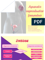 Histología Del Aparato Reproductor Femenino