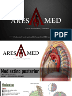 Mediastino Posterior