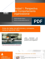 Perspectiva Del Comp Organizacional