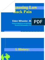 Low Back Pain