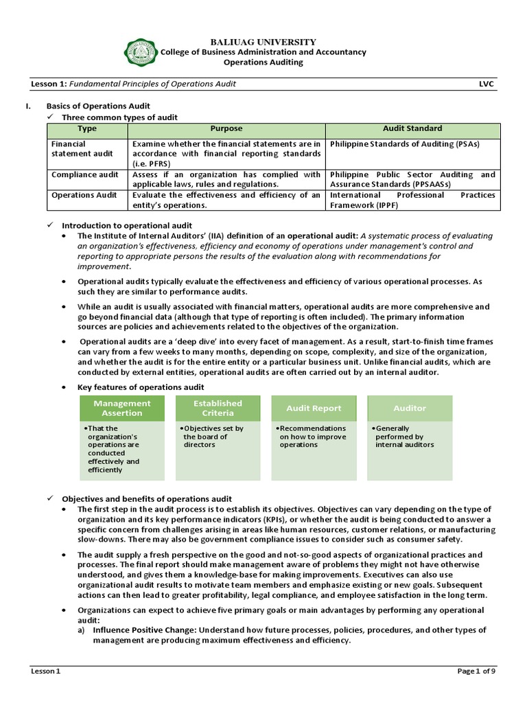 Principles of Operations Auditing | PDF | Audit | Internal Audit