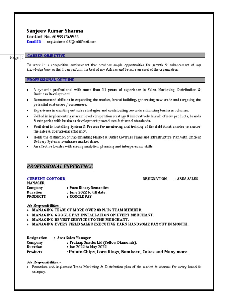 Vaco Binary Semantics Sales Manager Resume | PDF | Marketing | Sales