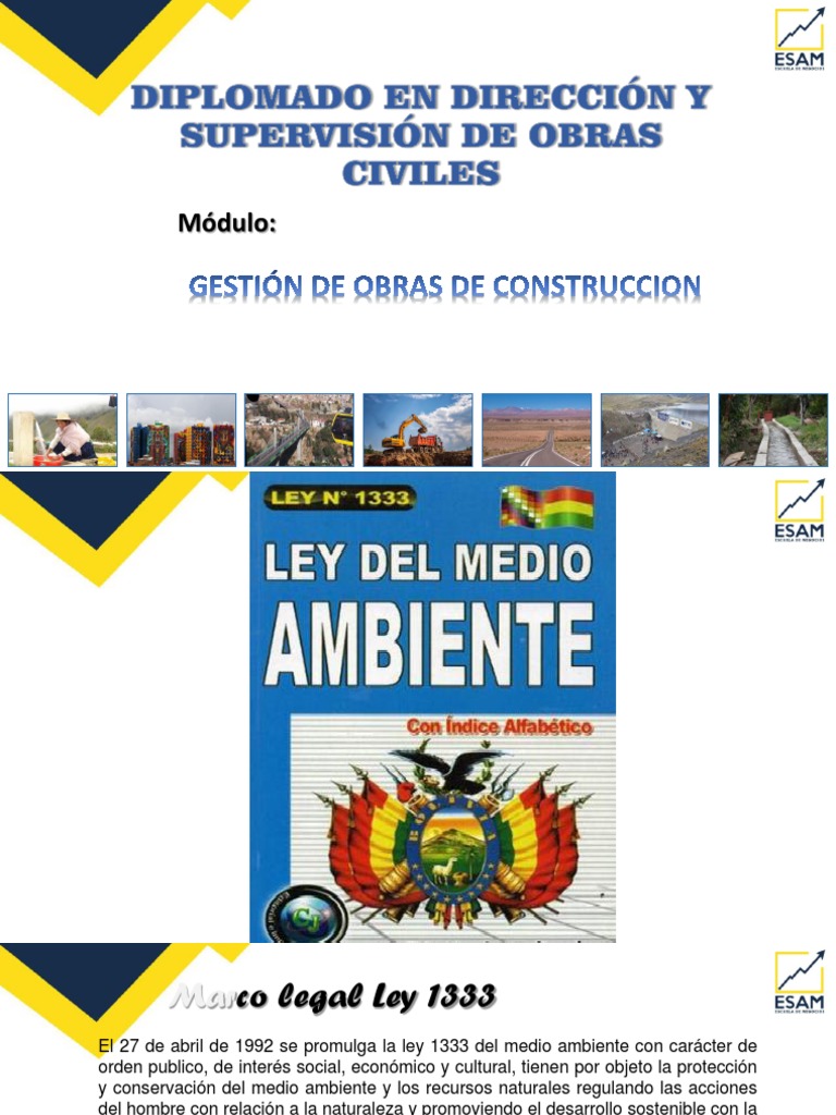 1 - PP - LEY 1333 - MEDIO AMBIENTE y RASIM | PDF | Evaluación de ...