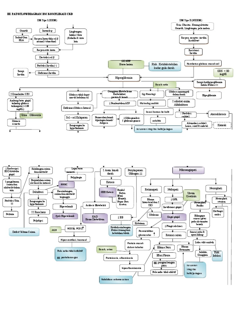 Patoflow DM 2 N CKD | PDF
