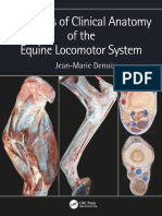 Essentials of Clinical Anatomy of The Equine Locomotor System