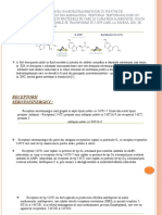 Transmisia Serotoninergică