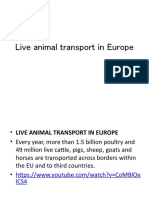 Live Animal Transport in Europe