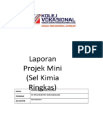 Projek Mini Ain KVK