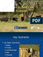 Basicsto Small Farm Beef Cow Nutrition