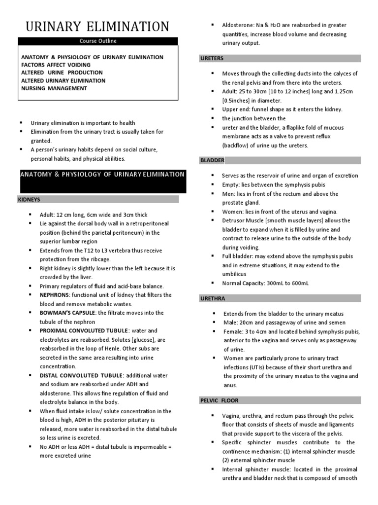 Catheterization HANDOUTS PDF Urinary Incontinence Urination