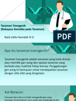 Tanaman Transgenik (Rekayasa Genetika Pada Tanaman) : Naila Zalfa Hamidah IX G