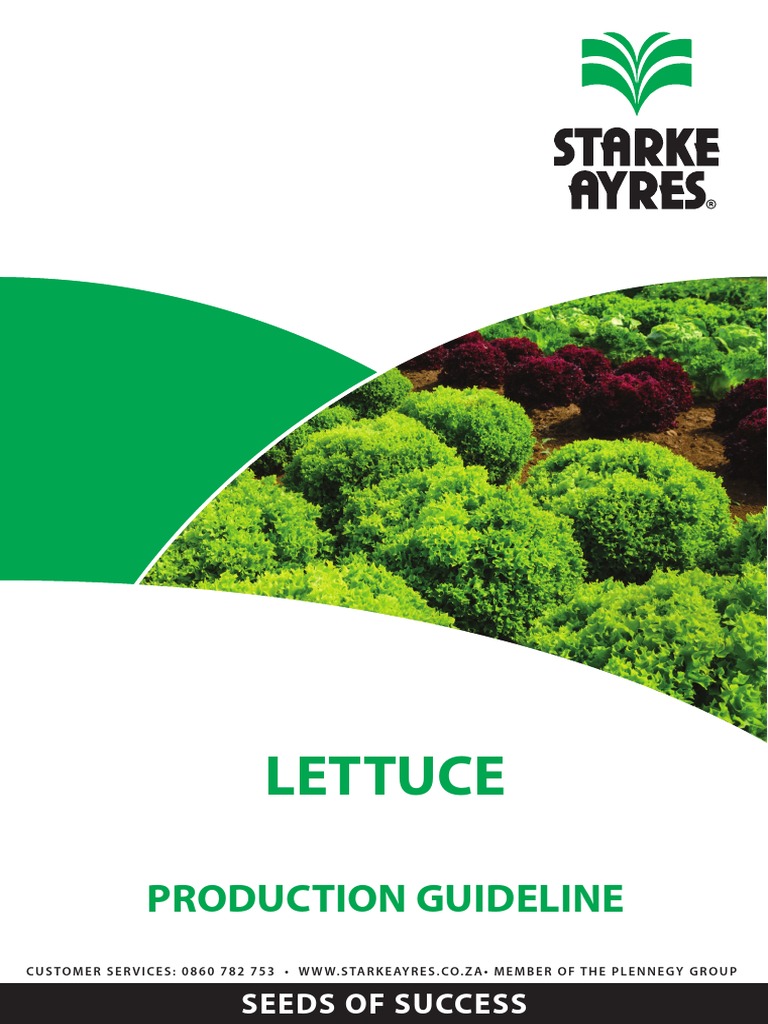 Lettuce Production Guideline 2014 PDF Lettuce Seed
