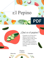 Todo sobre el pepino