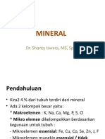 MINERAL PENTING