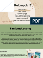 TANJUNG LESUNG