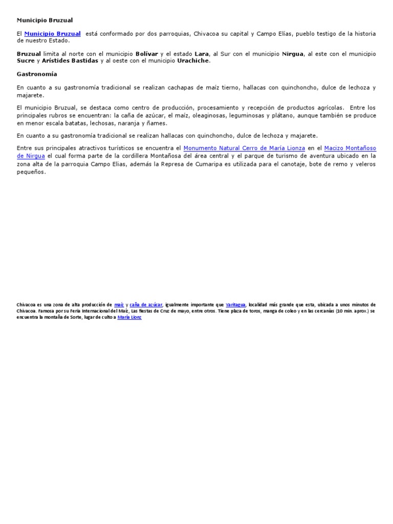 Municipio Bruzual PDF