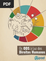 Ods À Luz Dos Direitos Humanos