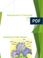 Reproduction Flowering Plants Integrated Science