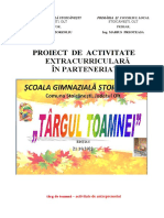 Targul Toamnei Stoicanesti - Proiect