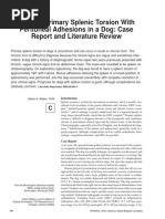Chronic Splenic Torsion Adhesions