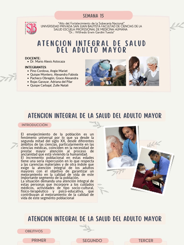 Atención Integral del Adulto Mayor | PDF | Vejez | Cuidado de la salud