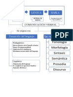 Comunicación Verbal