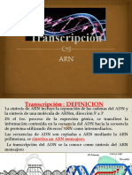 TRANSCRIPCION