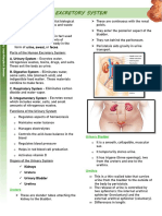 Excretory System SCS (Semeon)