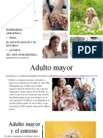 Adulto Mayor y Su Entorno