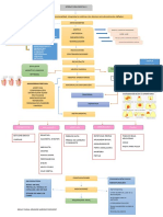 Mapa Operatoria Dental II Nelly Paola