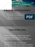 What Is Motivation