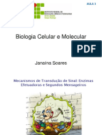Biologia Celular e Molecular: Mecanismos de Transdução de Sinal